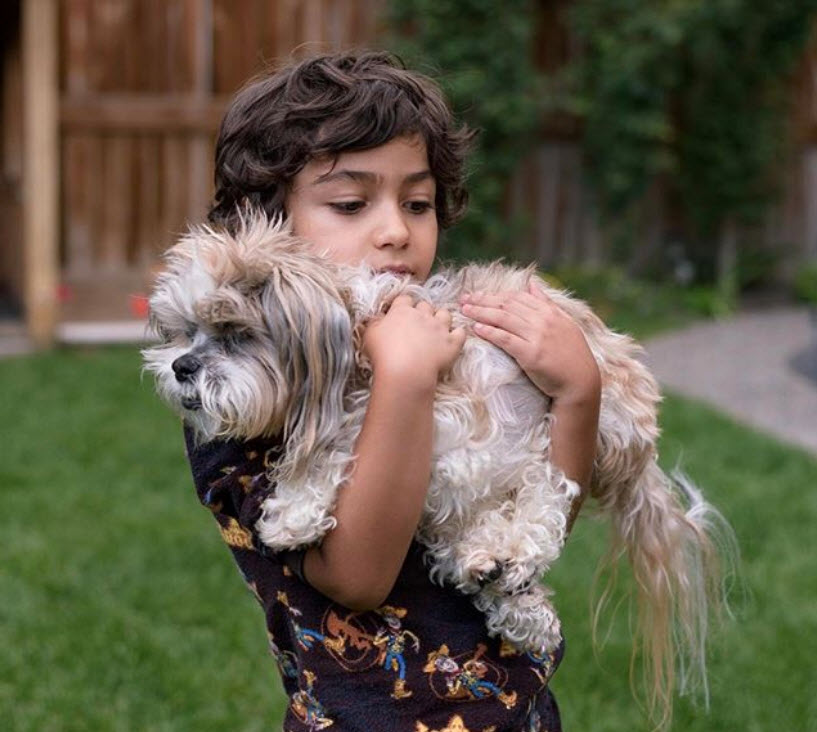 Illustration de l'article : 7 choses que votre chien décédé voudrait que vous sachiez